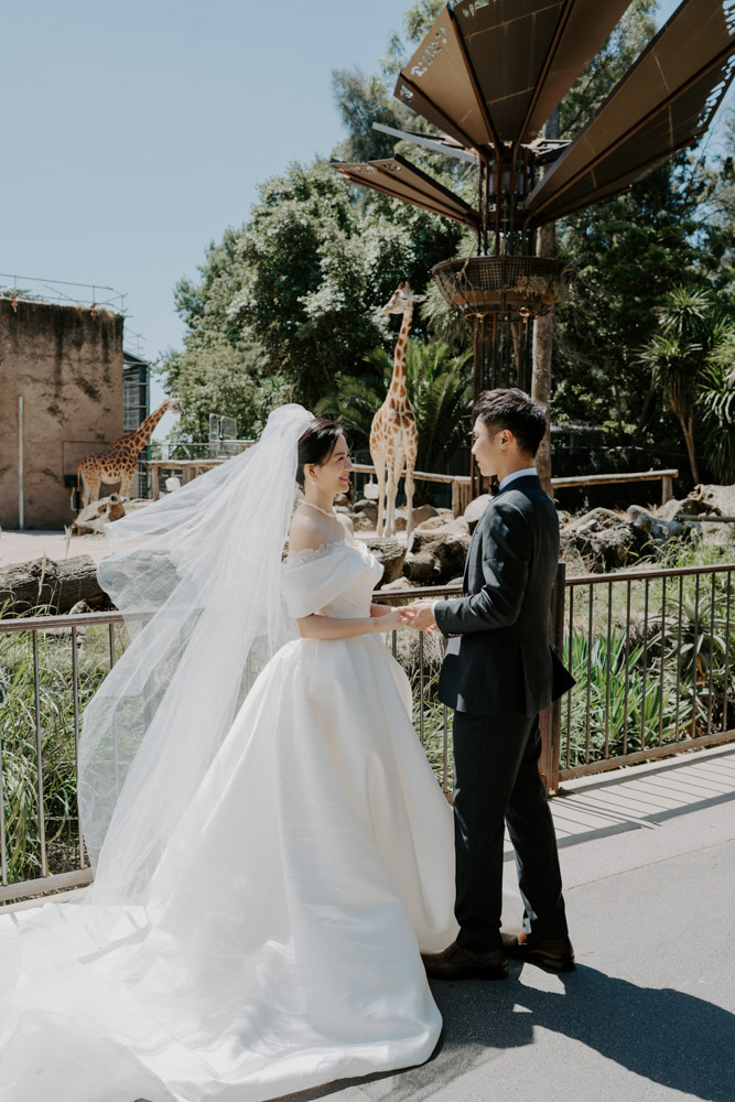 Melbourne Wedding Photography「LaterStory」30.01.2024 MaggieJacky Melbourne Zoo 16 | LaterStory |