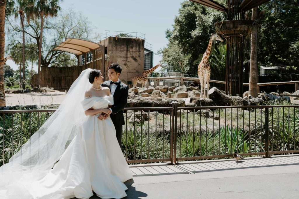 Melbourne Wedding Photography「LaterStory」30.01.2024 MaggieJacky Melbourne Zoo 17 | LaterStory |