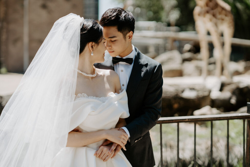 Melbourne Wedding Photography「LaterStory」30.01.2024 MaggieJacky Melbourne Zoo 19 | LaterStory |