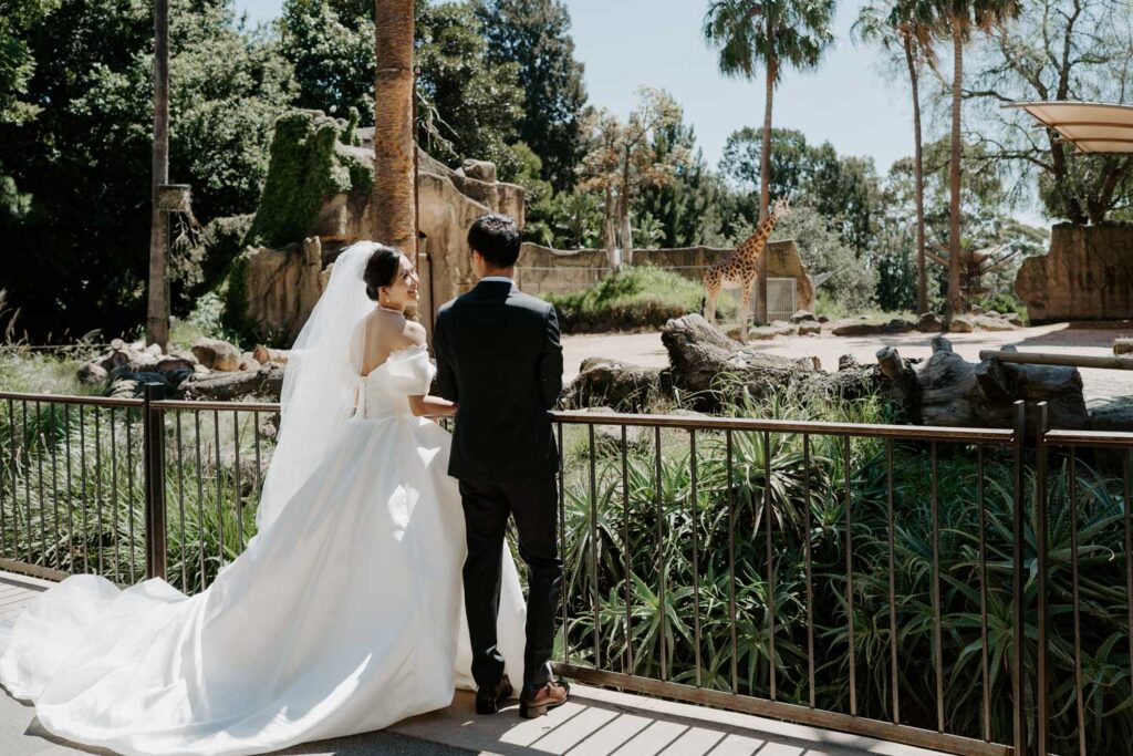 Melbourne Wedding Photography「LaterStory」30.01.2024 MaggieJacky Melbourne Zoo 20 | LaterStory |