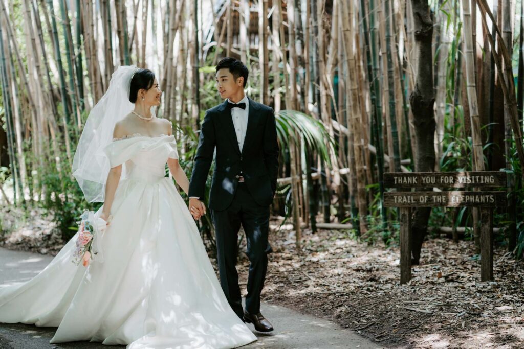 Melbourne Wedding Photography「LaterStory」30.01.2024 MaggieJacky Melbourne Zoo 24 | LaterStory |