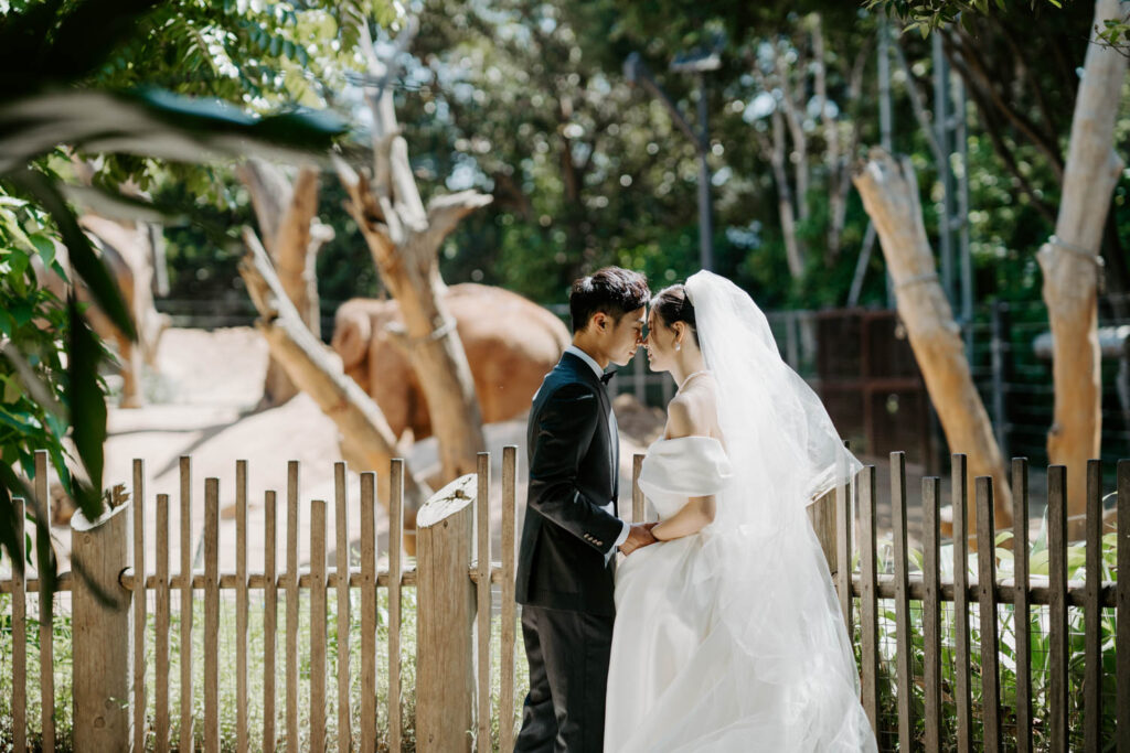 Melbourne Wedding Photography「LaterStory」30.01.2024 MaggieJacky Melbourne Zoo 30 | LaterStory |