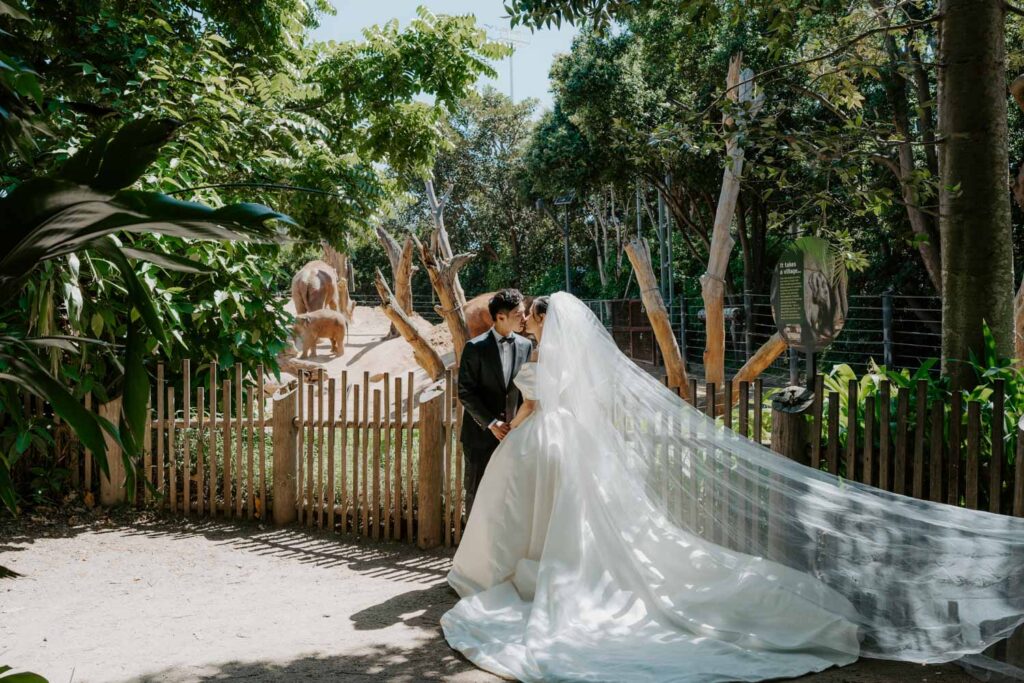 Melbourne Wedding Photography「LaterStory」30.01.2024 MaggieJacky Melbourne Zoo 31 | LaterStory |