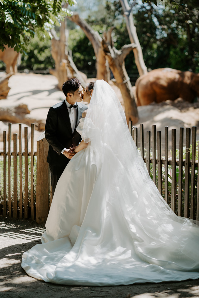 Melbourne Wedding Photography「LaterStory」30.01.2024 MaggieJacky Melbourne Zoo 32 | LaterStory |