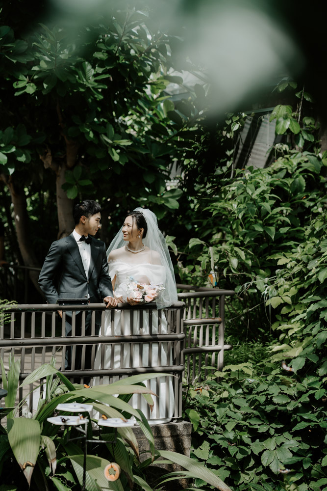 Melbourne Wedding Photography「LaterStory」30.01.2024 MaggieJacky Melbourne Zoo 33 | LaterStory |