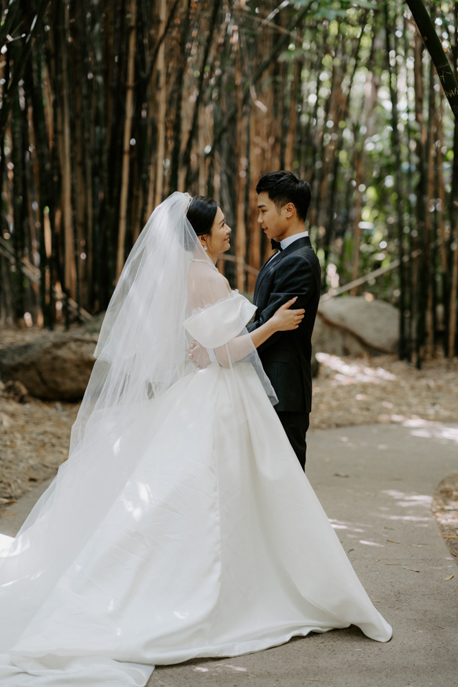 Melbourne Wedding Photography「LaterStory」30.01.2024 MaggieJacky Melbourne Zoo 37 | LaterStory |