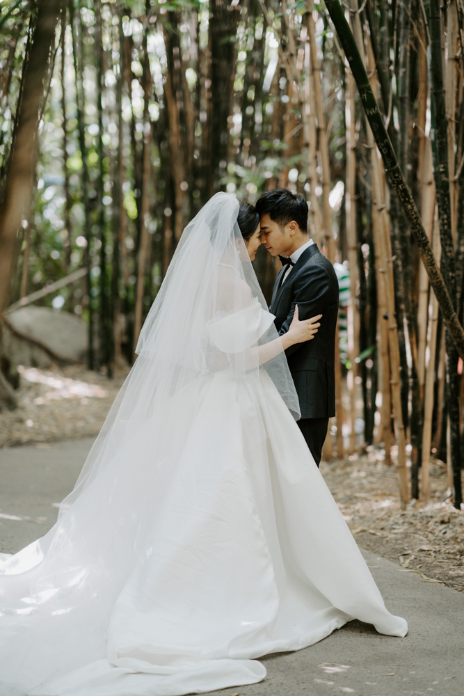 Melbourne Wedding Photography「LaterStory」30.01.2024 MaggieJacky Melbourne Zoo 40 | LaterStory |