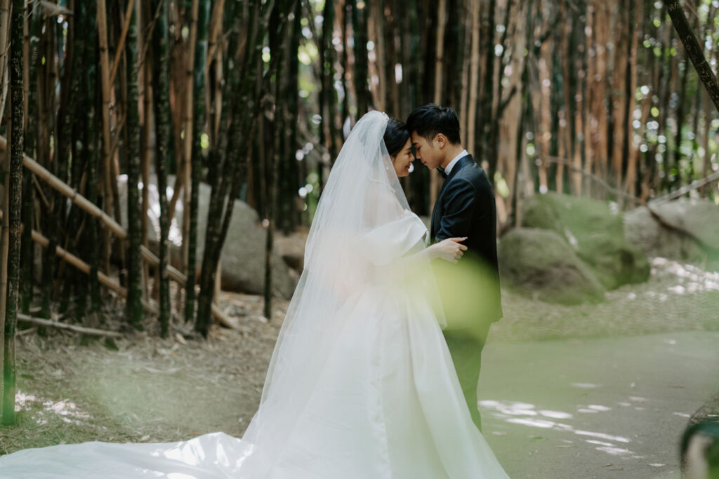 Melbourne Wedding Photography「LaterStory」30.01.2024 MaggieJacky Melbourne Zoo 41 | LaterStory |