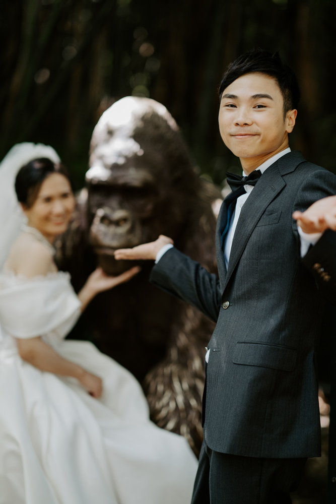 Melbourne Wedding Photography「LaterStory」30.01.2024 MaggieJacky Melbourne Zoo 43 | LaterStory |