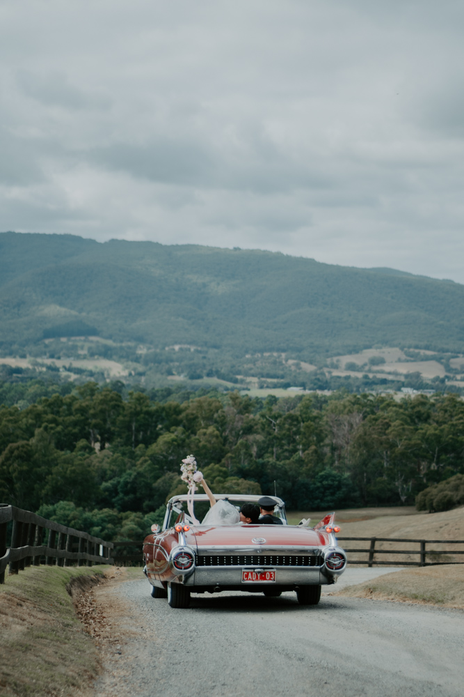 Melbourne Wedding Photography 「LaterStory」24.03.2024 Joanne Gabriel Riverstone Estate 220 | LaterStory |