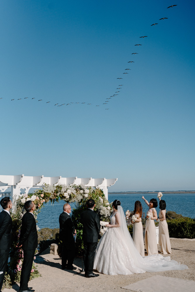 Melbourne Wedding hotography 「LaterStory」30.03.2024 Ivy Derrick 252 | LaterStory |